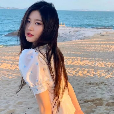寻找爱丽丝