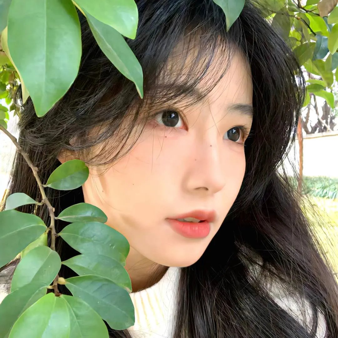 缘来你是苏小姐